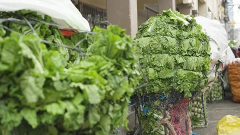 Fresh Napa Cabbage Displayed at Roadside Vegetable Market Stall Video stock 341312197