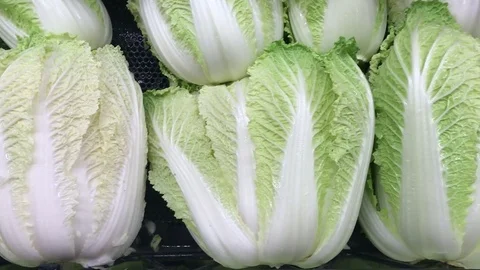 Fresh Napa Cabbage Stock Footage 80240374