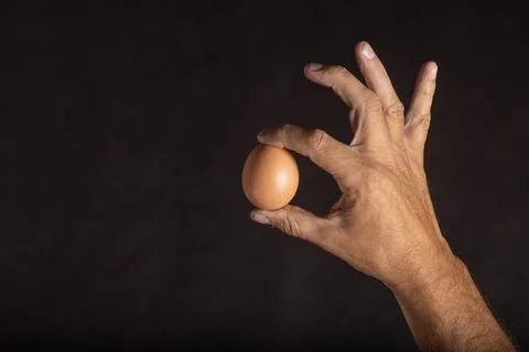Fresh natural egg held between the fingers of a male hand Stock Photos