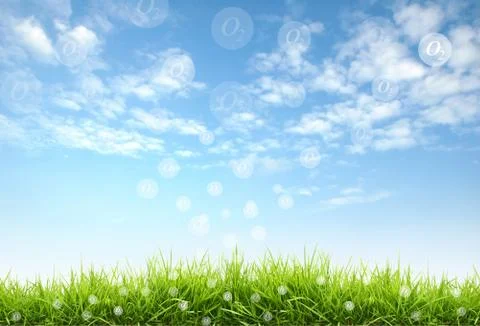 Fresh natural Foto stock