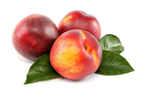 Fresh nectarines isolated on a white background. Stock Photos