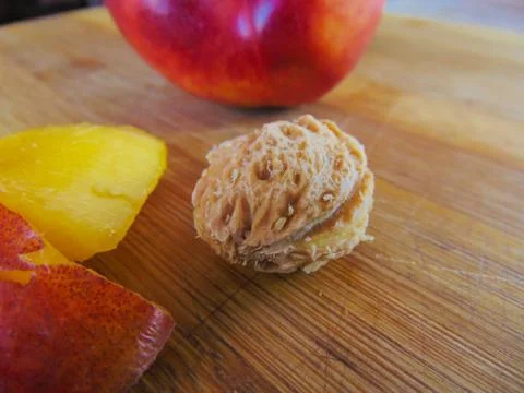 Fresh nectarines. Stock Photos