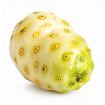 Fresh noni fruit, lumpy and yellow-white, with distinctive odor, isolated o.. Stock Photos