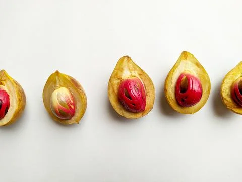 Fresh nutmeg fruit lined up on a white background Stock Photos
