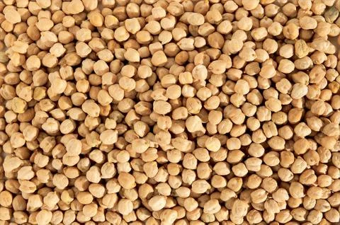 Fresh nuts background 写真素材