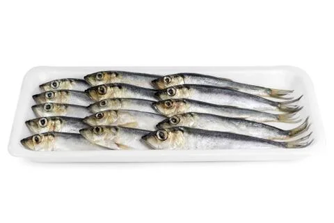 Fresh ocean fish Stock Photos