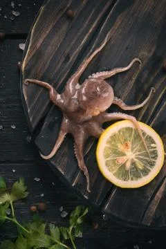Fresh octopus on a close-up table Stock Photos