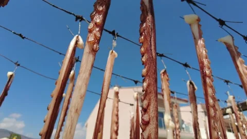 Fresh Octopus Drying in the Sun, In a Greek tavern Stock Footage 161605998