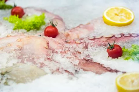 Fresh octopus on ice Stock Photos