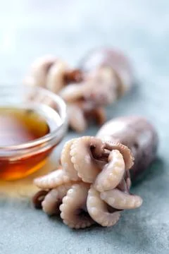 Fresh octopus Stock Photos