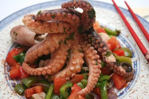 Fresh octopus Stock Photos