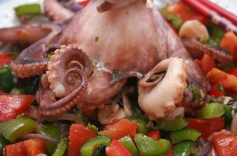 Fresh octopus Stock Photos