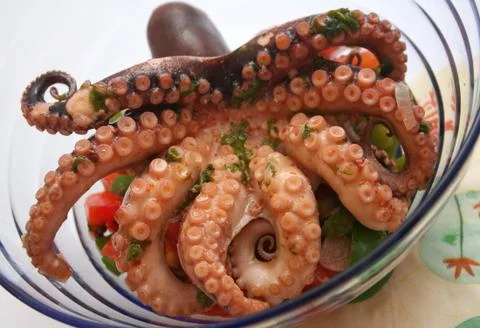 Fresh octopus Stock Photos