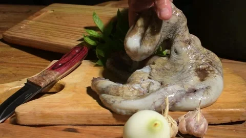 Fresh octopus preparation at a restaurant kitchen station Stock Footage 313888004