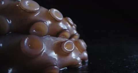 Fresh octopus with pretty tentacles. Seafood in luxury restaurant Stock Footage 148765859