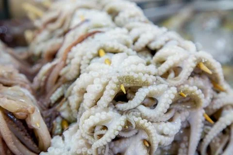 Fresh octopus on a stick Stock Photos