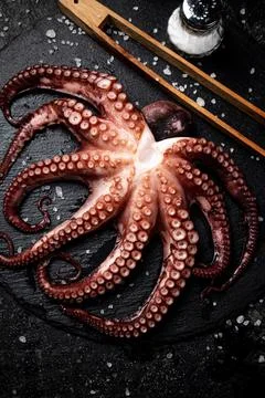 Fresh octopus on a stone board. Stock-Fotos