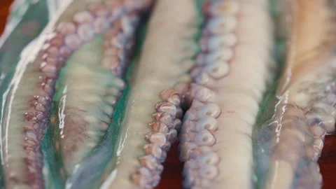 Fresh octopus tentacles. Close-up footage of fresh octopus tentacles arranged, Stock Footage 339696365