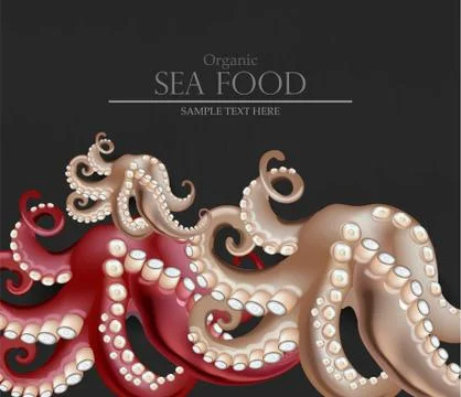 Fresh octopus Vector realistic. 3d detailed illustrations Stock Illustration