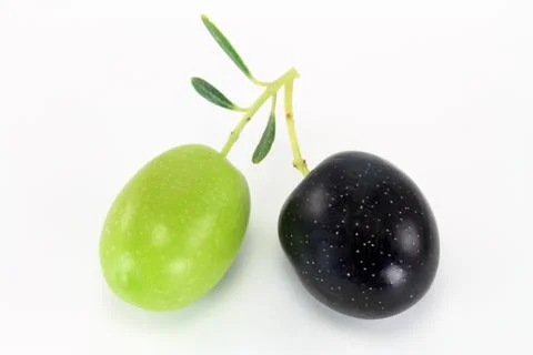 Fresh olive branch Foto stock