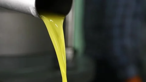 Fresh olive oil falling in recipient, extracted olive oil in industry Stock Footage 140218088