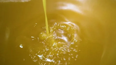 Fresh olive oil falling in recipient, extracted olive oil in industry Stock Footage 140218697