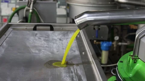 Fresh olive oil flowing from separator in an olive oil mill Stock Footage 320879860