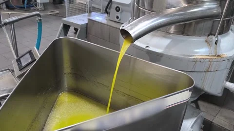 Fresh Olive Oil Flowing Through Processing Line in Modern Olive Mill Factory Stock Footage 321879986