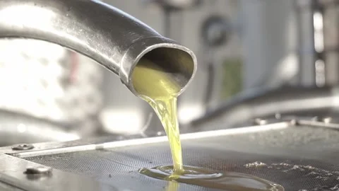 Fresh Olive Running Stock Footage 233698468