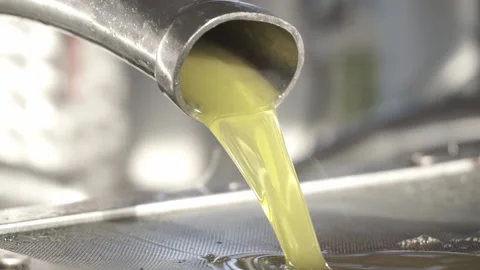 Fresh Olive Running Stock Footage 233698492