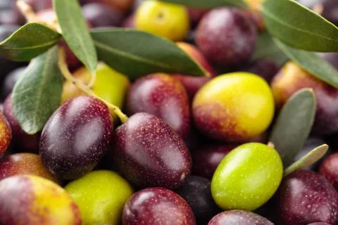 Fresh olives background. Stock Photos
