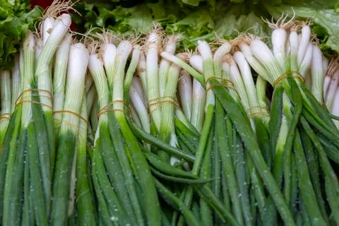 Fresh onion background Stock Photos