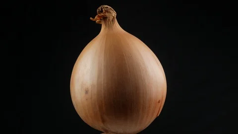 Fresh onion bulb close up Stock Footage 103231755