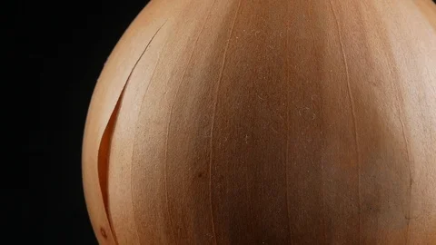 Fresh onion bulb close up Stock Footage 103232264