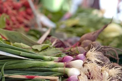 Fresh onion Stock Photos