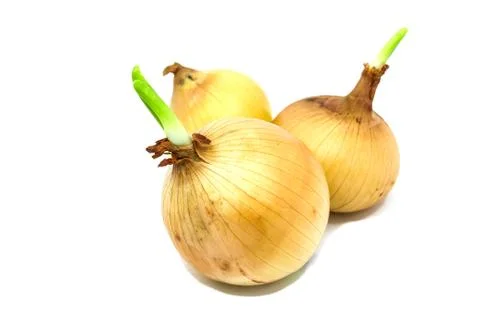 Fresh onion Stock Photos