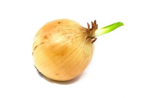 Fresh onion Stock Photos