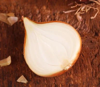Fresh onion Stock Photos