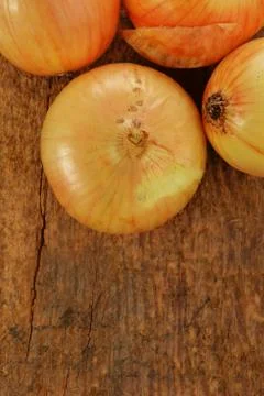 Fresh onion Stock Photos