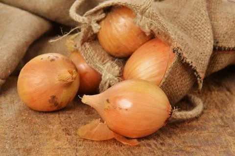 Fresh onion Stock Photos