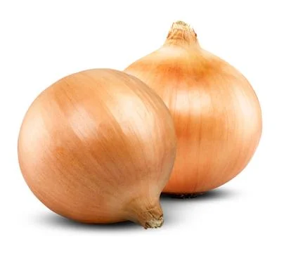 Fresh onion Stock Photos