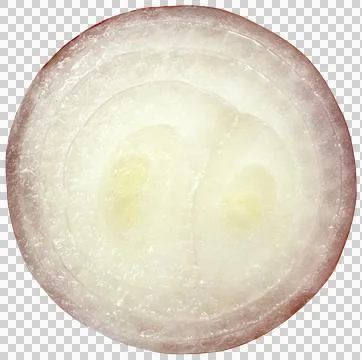 Fresh onion Stock Photos