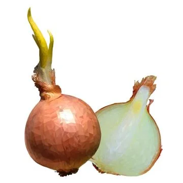 Fresh onion polygonal realistic vector illustration Stock Illustration