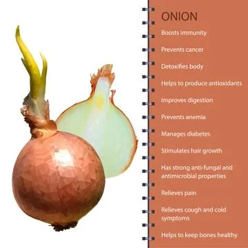 Fresh onion polygonal realistic vector illustration Stock Illustration