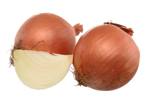 Fresh onions Stock Photos