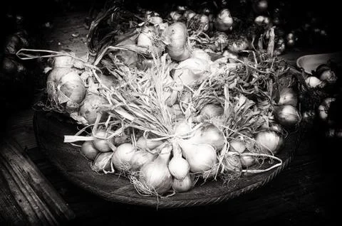 Fresh onions in rustic setting Stock Photos