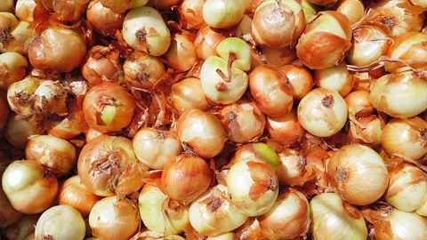Fresh onions on store or bazaar counter. Close-up. Stock Footage 135265914