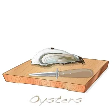 Fresh opened oyster vectorv images set on plate / dish isolated on white back Stock Illustration