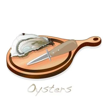 Fresh opened oyster vectorv images set on plate / dish isolated on white back Stock Illustration