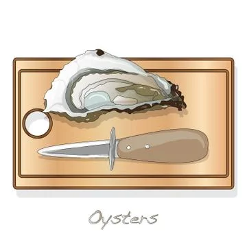 Fresh opened oyster vectorv images set on plate / dish isolated on white back Stock Illustration